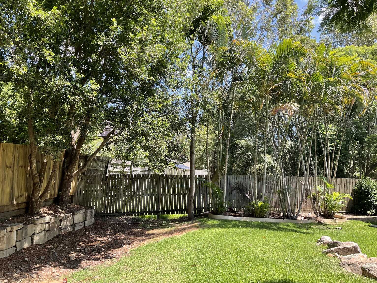 Mitchelton Mitchelton