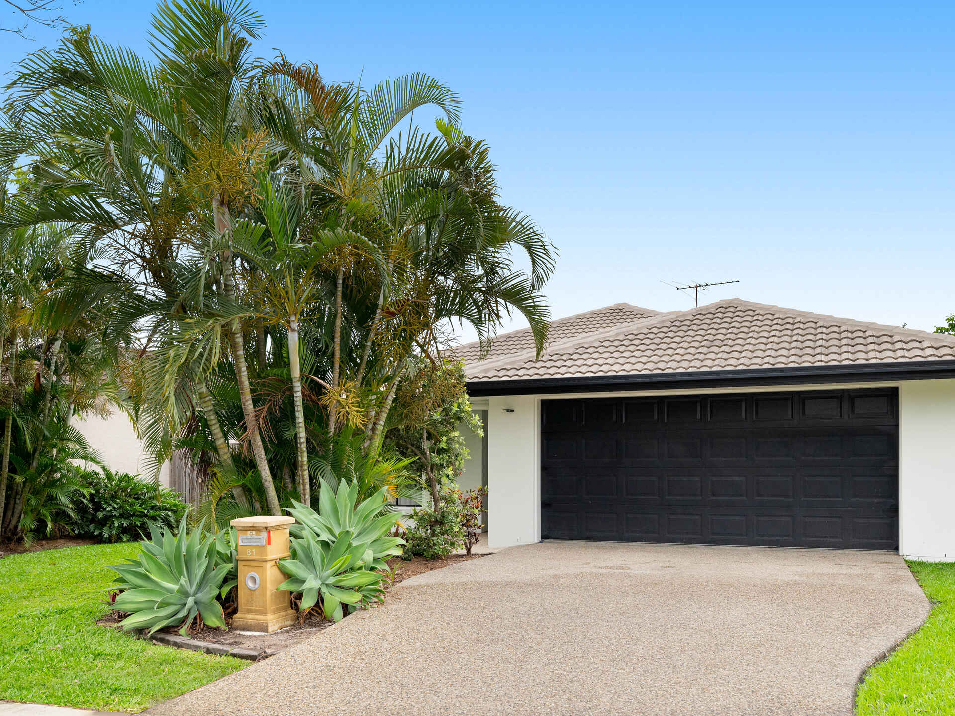 81 Cowie Road Carseldine