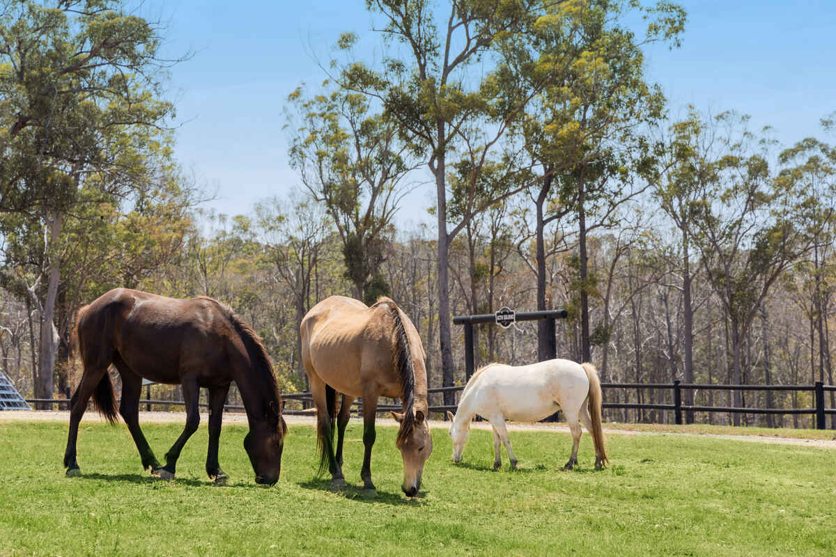 435 Ford Road Priestdale 435 Ford Road Priestdale